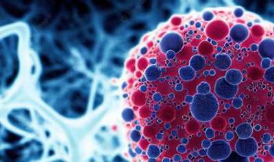 Why Is There More Cancer In Young People? (Latest Trends)